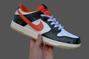 NikeNike SB Dunk Low Pro