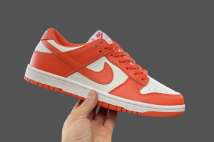 NikeNike SB Dunk Low Pro