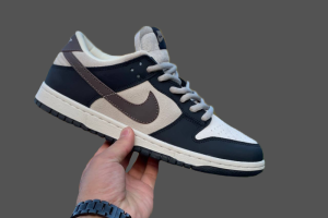 NikeNike SB Dunk Low Pro