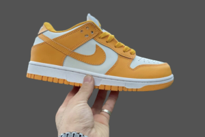 NikeNike SB Dunk Low Pro