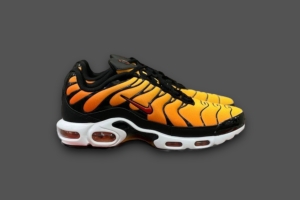 NikeNike Air Max Plus Tn 